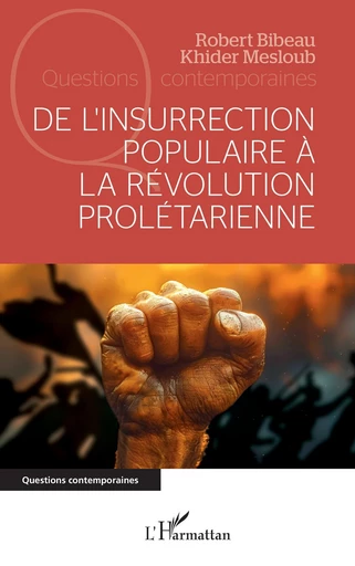 De l’insurrection populaire à la révolution prolétarienne - Robert Bibeau, Khider Mesloub - Editions L'Harmattan