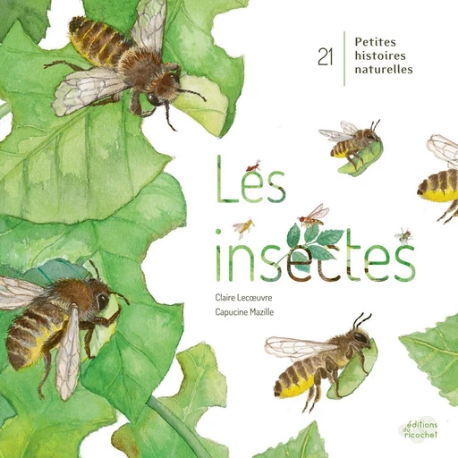 Les Insectes, 21 petites histoires naturelles - Claire Lecoeuvre - Les Editions du Ricochet