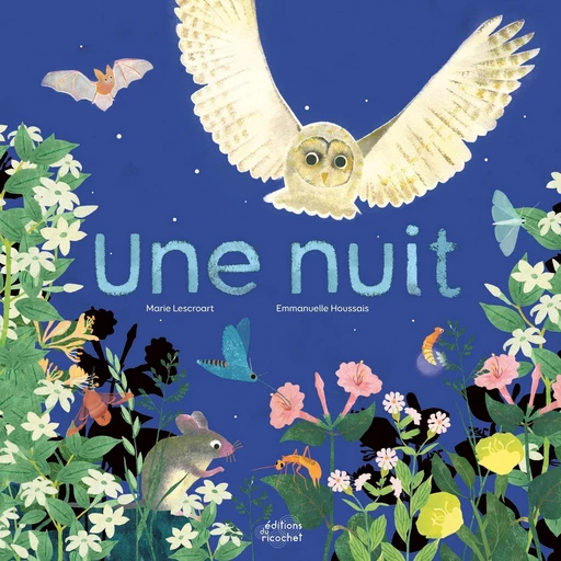 Une nuit - Marie Lescroart - Les Editions du Ricochet