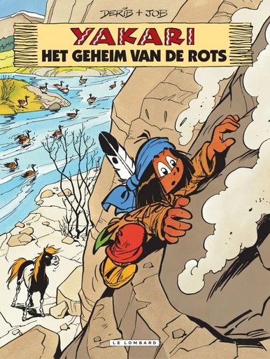 Het geheim van de rots -  Job - Standaard Uitgeverij