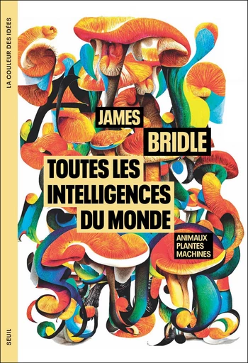 Toutes les intelligences du monde - James Bridle - Seuil