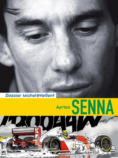 Ayrton Senna - Lionel Froissart - Standaard Uitgeverij