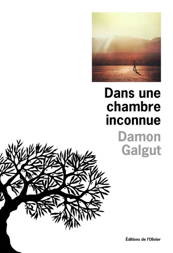 Dans une chambre inconnue - Damon Galgut - Editions de l'Olivier