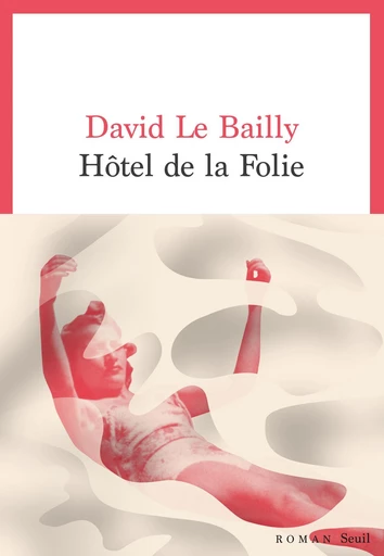 Hôtel de la folie - David Le Bailly - Seuil