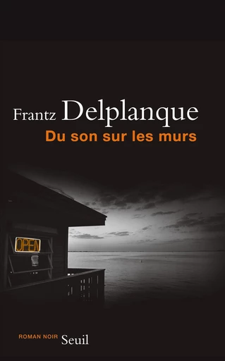 Du son sur les murs - Frantz Delplanque - Editions du Seuil