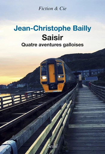 Saisir - Quatre aventures galloises - Jean-Christophe Bailly - Editions du Seuil