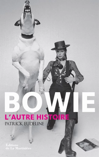 Bowie. L'autre histoire - Patrick Eudeline - DLM