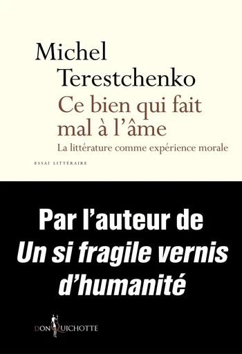 Ce bien qui fait mal à l'âme. La Littérature comme expérience morale - Michel Terestchenko - Éditions Don Quichotte