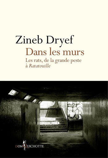 Dans les murs. Les rats, de la Grande Peste à Ratatouille - Zineb Dryef - Éditions Don Quichotte