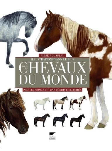 Tous les chevaux du monde. Près de 570 races et types décrits et illustrés - Elise Rousseau - Delachaux & Niestlé