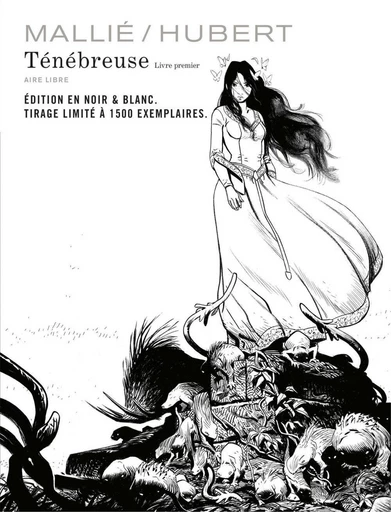 Ténébreuse - Tome 1 -  Hubert - Dupuis