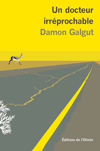 Un docteur irréprochable - Damon Galgut - Olivier