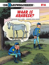 Waar is Arabesk?