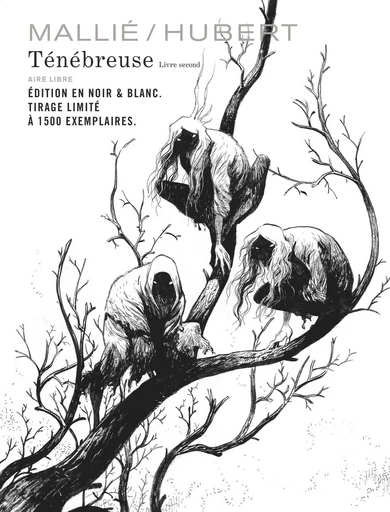 Ténébreuse - Tome 2 -  Hubert - Dupuis