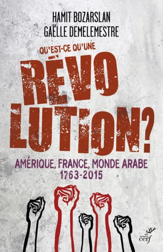 QU'EST-CE QU'UNE REVOLUTION ? - AMERIQUE, FRANCE,MONDE ARABE - 1763-2015 -  DEMELEMESTRE GAELLE,  BOZARSLAN HAMIT - Editions du Cerf