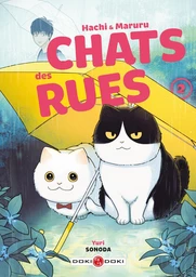 Hachi & Maruru - Chats des rues - Tome 2 - Tome 2