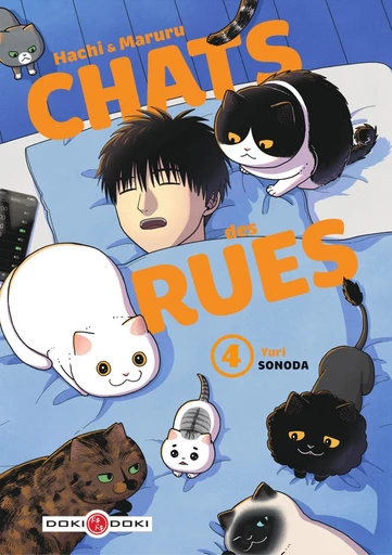 Hachi & Maruru - Chats des rues - Tome 4 - Tome 4 - Yuri Sonoda - Bamboo