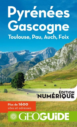 GEOguide Pyrénées - Gascogne. Toulouse, Pau, Auch, Foix -  Collectif - Éditions Gallimard Loisirs