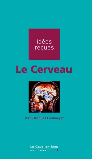 Le cerveau - Jean-Jacques Feldmeyer - Le Cavalier Bleu