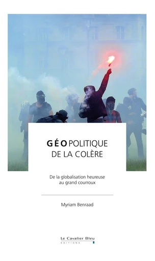 Geopolitique de la colere - Myriam Benraad - Le Cavalier Bleu