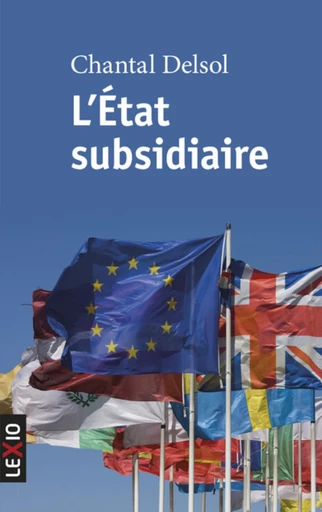 L'ETAT SUBSIDIAIRE -  DELSOL CHANTAL - Editions du Cerf