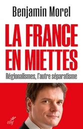 LA FRANCE EN MIETTES - REGIONALISMES, L'AUTRE SEPARATISME