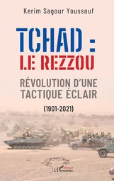 Tchad: le Rezzou