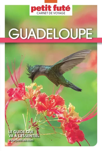 GUADELOUPE 2025 Carnet Petit Futé - Dominique Auzias, Jean-Paul Labourdette - Petit Futé