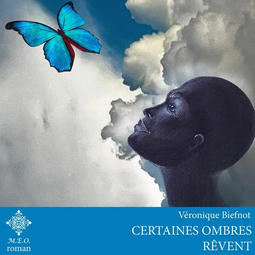 Certaines ombres rêvent - Véronique Biefnot - VOolume