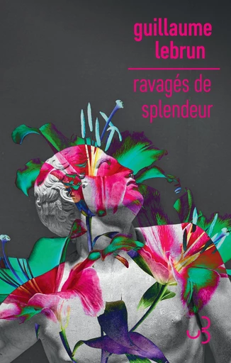 Ravagés de splendeur - Guillaume Lebrun - Bourgois