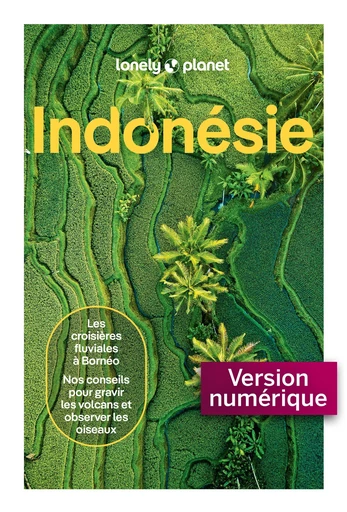 Indonésie 8ed -  LONELY PLANET - edi8