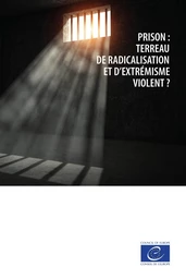 Prison : terreau de radicalisation et d’extrémisme violent ?