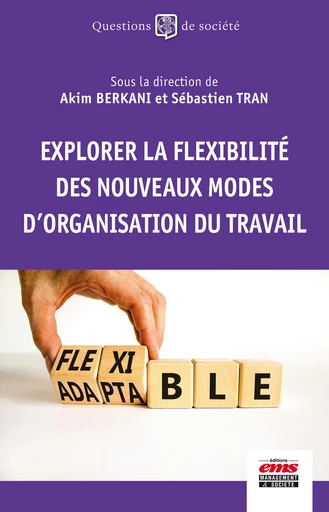 Explorer la flexibilité des nouveaux modes d'organisation du travail - Akim Berkani, Sébastien Tran - Éditions EMS