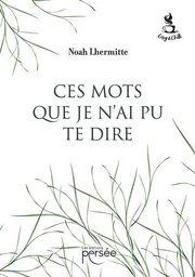 Ces mots que je n'ai pu te dire