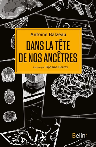 Dans la tête de nos ancêtres - Antoine Balzeau, Tiphaine Derrey - Humensis