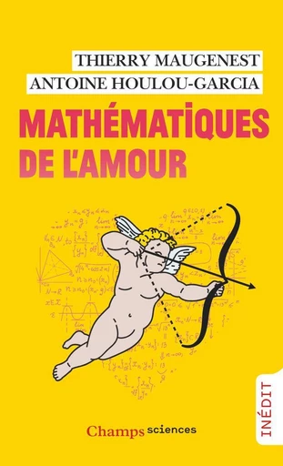 Mathématiques de l'amour - Thierry Maugenest, Antoine Houlou-Garcia - Flammarion