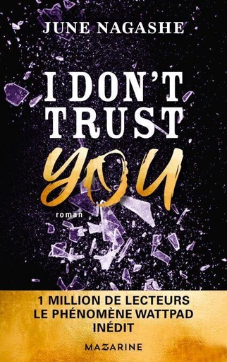 I don't trust you -  June Nagashe - Fayard