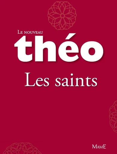 Le nouveau Théo - livre 1 - Les saints - Stanislas Lalanne, Mgr Michel Dubost - Mame Ed.