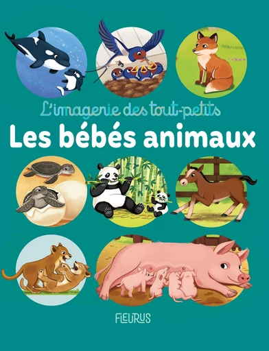 Les bébés animaux - Sophie de Mullenheim - Fleurus Ed.