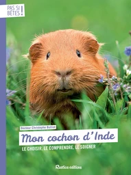 Mon cochon d'Inde