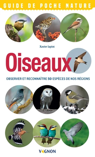 Oiseaux - Observer et reconnaître 50 espèces de nos régions - Xavier Japiot - Vagnon Ed.