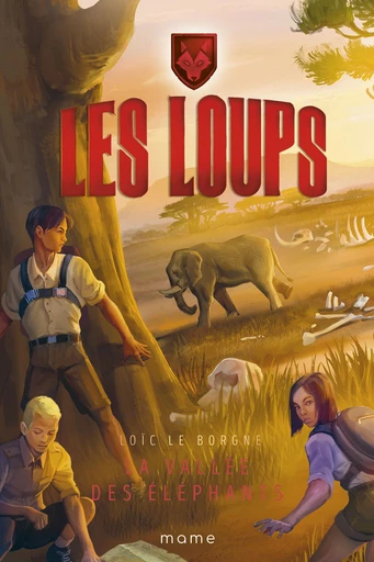 La vallée des éléphants - Loïc Le Borgne - Mame Ed.