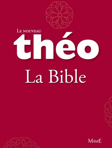 Le nouveau Théo - Livre 2 - La Bible - Stanislas Lalanne, Mgr Michel Dubost - Mame Ed.