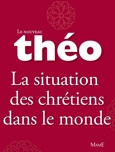 Le nouveau Théo - Livre 5 - La situation des chrétiens dans le monde - Mgr Michel Dubost, Stanislas Lalanne - Mame Ed.