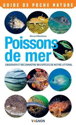 Poissons de mer - Vincent Rondreux - Vagnon Ed.