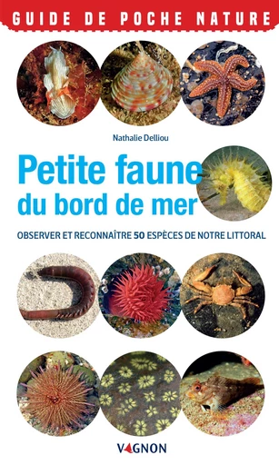 Petite faune du bord de mer - Observer et reconnaître 50 espèces de notre littoral - Nathalie Delliou - Vagnon Ed.