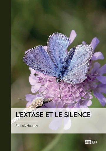 L’extase et le silence - Patrick Heurley - Publibook