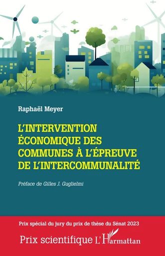 L'intervention économique des communes à l'épreuve de l'intercommunalité - Raphaël Meyer - Editions L'Harmattan