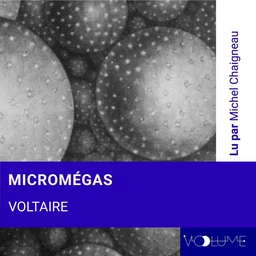 Micromégas