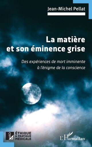 La matière et son éminence grise - Jean-Michel Pellat - Editions L'Harmattan